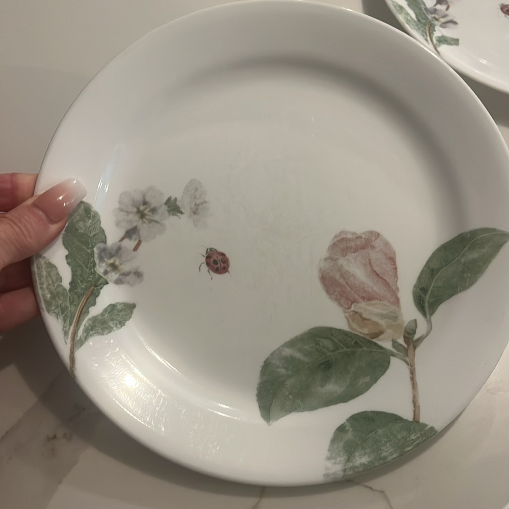 Corelle Floral & Lady Bug Patterned Dinner Plates 9" Set of 7 plates - Picture 3 of 5